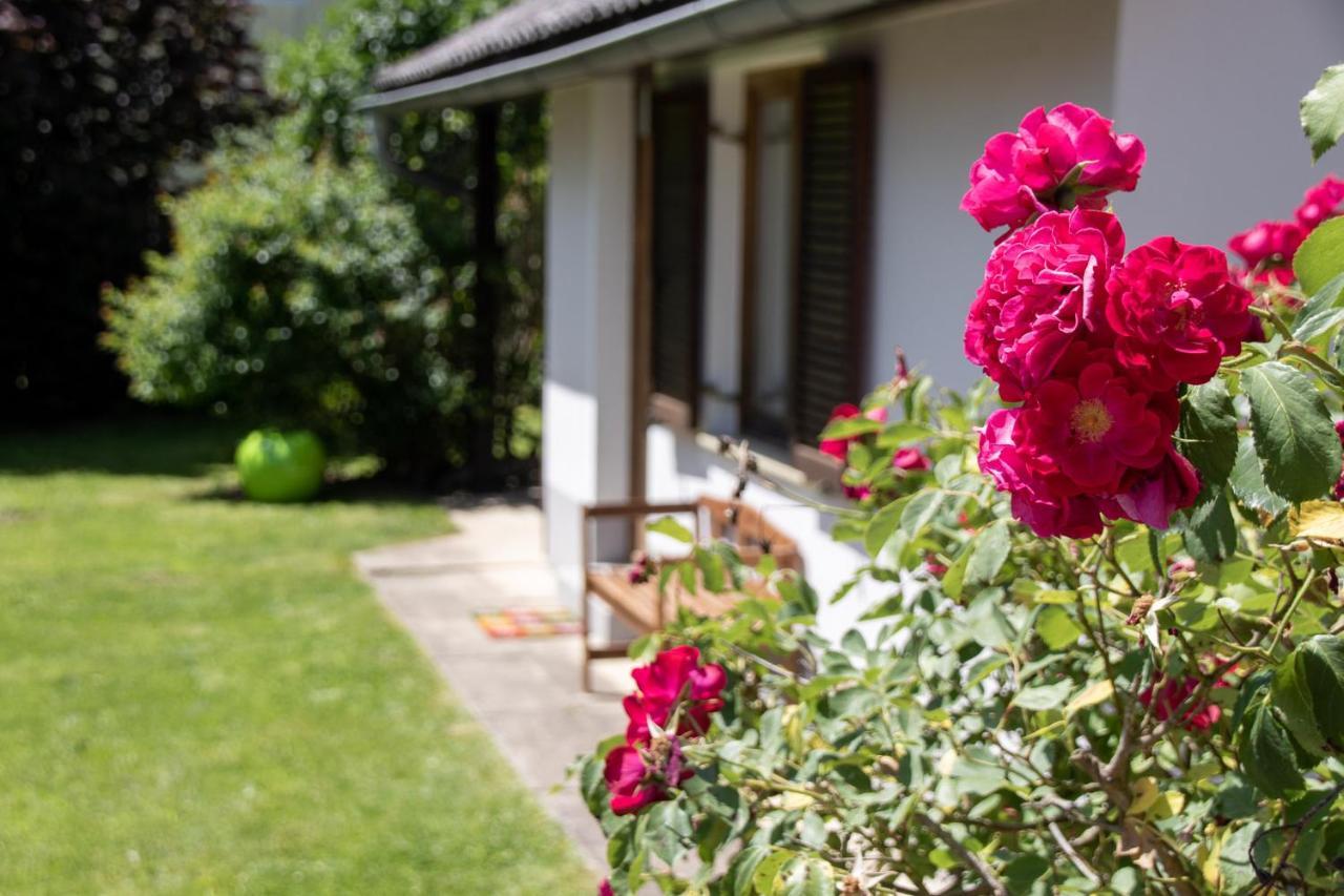 Vila Apfelhaus Wagna Exteriér fotografie